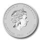 Stříbrná Mince Rok Hada 2013 - 5 Oz - Rub