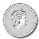 Stříbrná Mince Rok Hada 2013 - 10 Oz - Rub