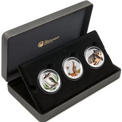 Sada 3ks 1/2 Oz kolorovaných stříbrných mincí AUSTRALIAN OUTBACK 2012 - V originální dárkové kazetě