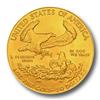 Zlatá Mince American Eagle 1 Oz - Líc