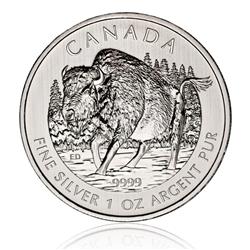 Stříbrná mince Wildlife Bizon 1 Oz 2013 (Kanada) - Líc 