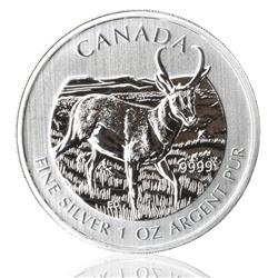 Stříbrná mince Wildlife Antilopa 1 Oz 2013 (Kanada) -Líc  