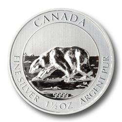 Stříbrná mince - Lední medvěd 1,5 Oz 2013 - Líc 
