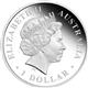 Stříbrná mince Ledňáček 2013 1oz Proof - Rub