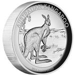Stříbrná mince australský Klokan 2013 1oz Proof High Relief - Líc