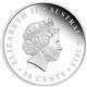 Stříbrná Vánoční mince 2013 1/2 Oz (Proof) - Rub
