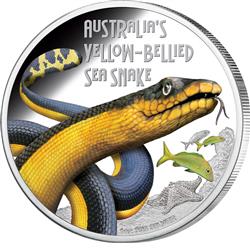 Yellow-Bellied Sea Snake 2013 1oz ze série smrtící a nebezpeční - Líc