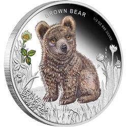 Stříbrná mince Forest Babies - Brown Bear 2013 1/2oz Proof - Líc
