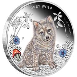 Stříbrná mince Forest Babies - Grey Wolf 2013 1/2oz Proof - Líc