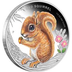 Stříbrná mince Forest Babies - Red Squirrel 2013 1/2oz Proof - Líc
