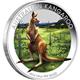 Sada 3ks 1/2 Oz kolorovaných stříbrných mincí AUSTRALIAN OUTBACK 2014 - Líc - klokan