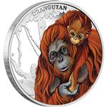 Stříbrná mince ze série Mateřská láska - Orangutan 2014 1/2 oz - Líc