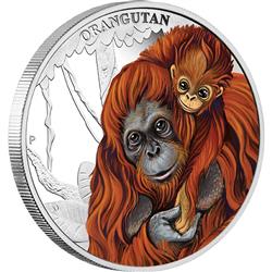 Stříbrná mince ze série Mateřská láska - Orangutan 2014 1/2 oz - Líc