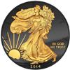 Stříbrná mince Černá kráčející Liberty ze série "Zlatá Enigma" Golden Enigma 1 oz 2014 - Líc