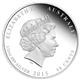 Stříbrná mince, dárek k narození dítěte - NEWBORN BABY 2015 1/2 oz PROOF - Rub