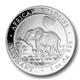 Sada stříbrných mincí African Wildlife Elefant - 2oz, 1oz, 1/2oz, 1/4oz (2011) - Líc